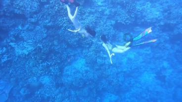 手机测吉凶号码查询免费-解决你的疑惑