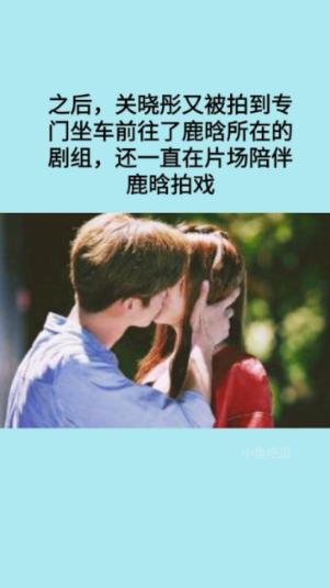 5只小猪咪同时开饭,竟然不是橘猪吃到最后!?